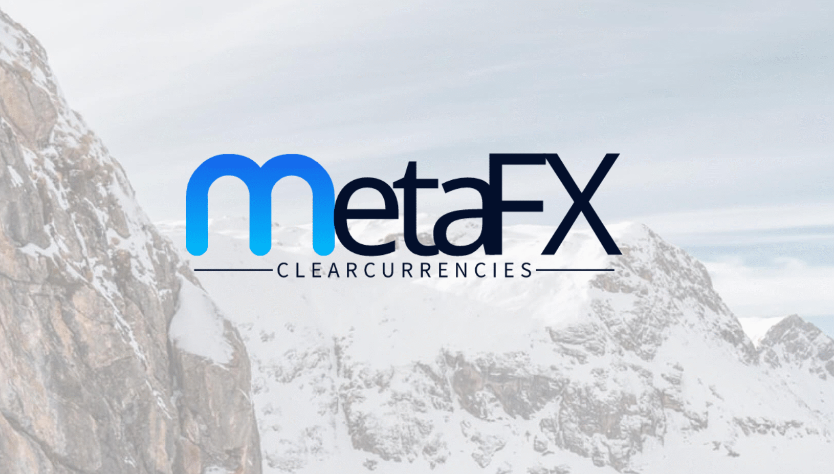 MetaFX